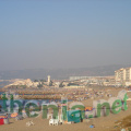 DSC03403