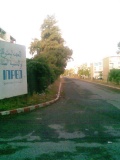 inped