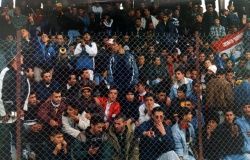supporters