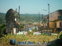Thenia0115
