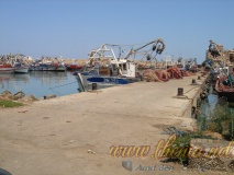 DSC03897