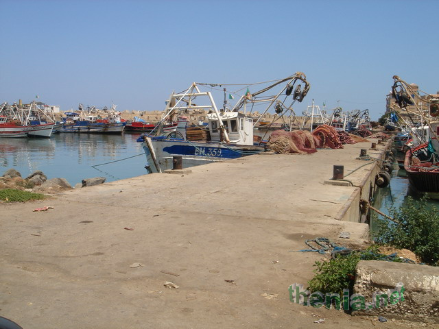 DSC03897.JPG