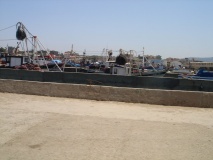 DSC03902