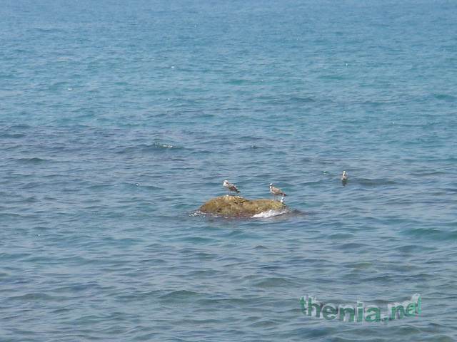 DSC03903.JPG